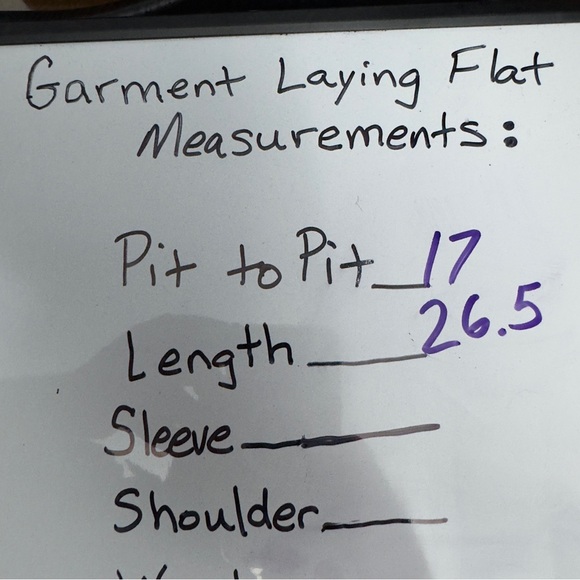 Pinkblush Double Zero Sage Green Sleeveless Tank Mini Dress Size L - Picture 6 of 7